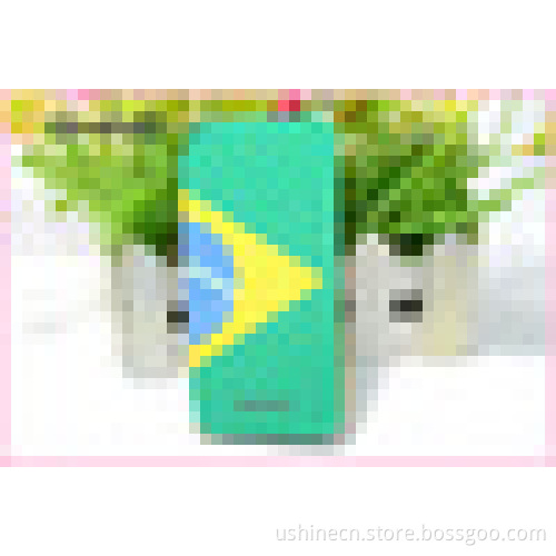 World Cup Brazil 2014 High Quality Leather case for iphone 5 5S